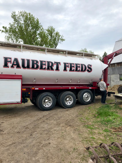 faubertfeedstruck3